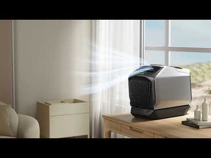 Mobiele Airconditioner en Kachel | Wave 2 - Ecoflow