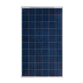 Yingli YL260P-29b 260Wp